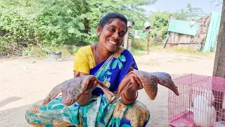 நாக்கு மீன் குழம்பு செம ருசியான மீன் Tongue fish broth camel delicious fish
