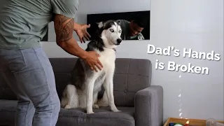 PRETENDING to PET my Dog! Talking husky gets SO ANNOYED