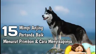 15 Mimpi Anjing Pertanda Baik Menurut Primbon & Cara Menyikapinya