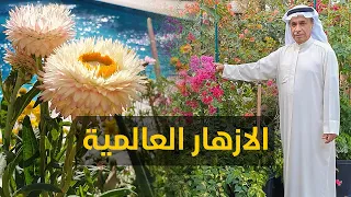 اجمل الازهار العالمية - The most beautiful global flowers