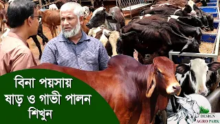 775-বিনে পয়সায় গরু পালন শিখুন খামার করে লাভবান হতে চাইলে - R.I.Manik.Chitrapuri Krishichitra
