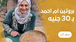 صينية البروتين ب 30ج في الفرن الفلاحي من غير فراخ و لا لحمة علي طريقة ام احمد
