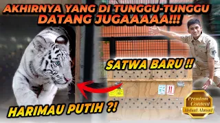 ALSHAD KEDATANGAN SATWA BARU ?? HARIMAU PUTIH YANG LANGKA ?! BUAT JADI TEMENNYA ESHAN JINORA !!