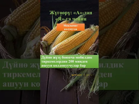 Уюлдук тиркеме Жүгөөрү А-дан  Я-га чейин