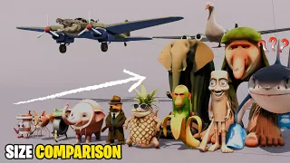 SIZE COMPARISON OF NEW ITALIAN BRAINROT ANIMALS MEMES | 3D Animation
