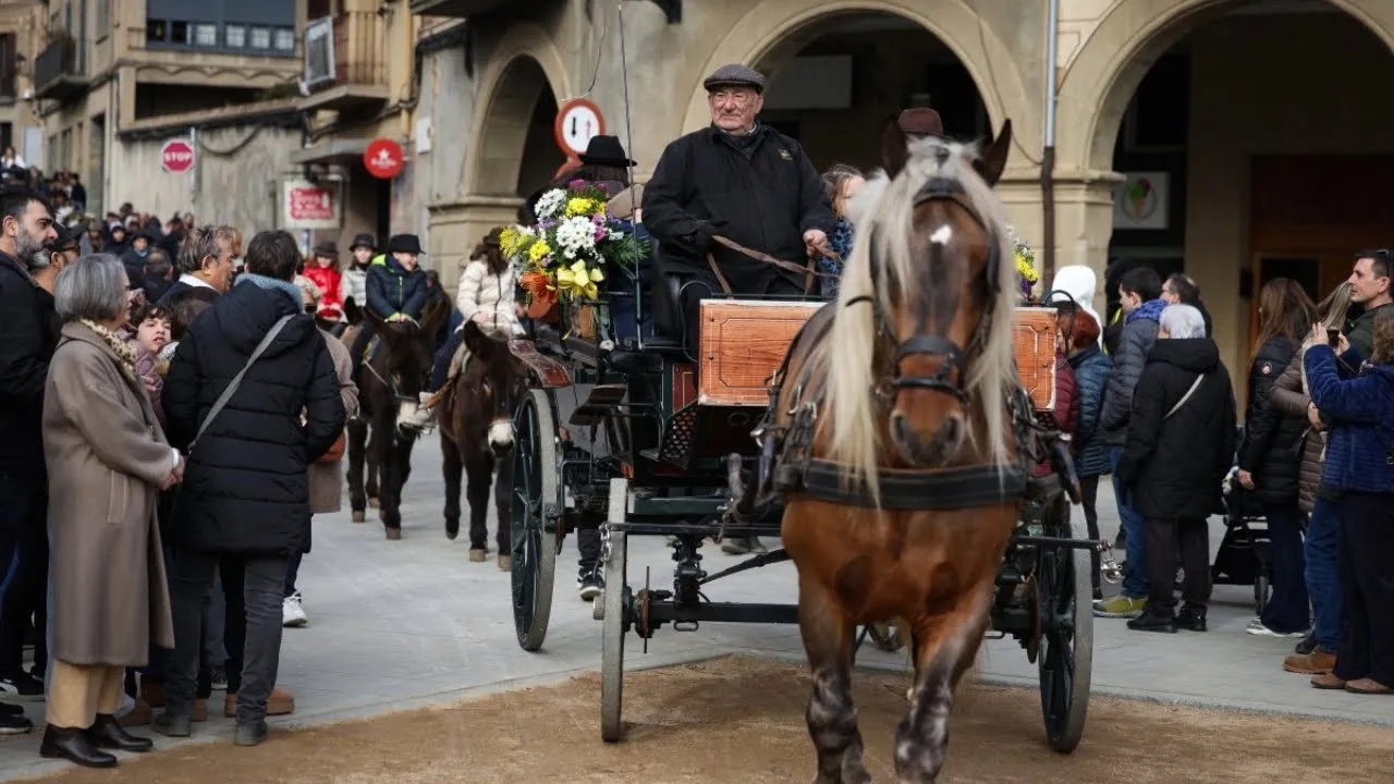 Manlleu es vesteix de gala per la Festa dels Tonis