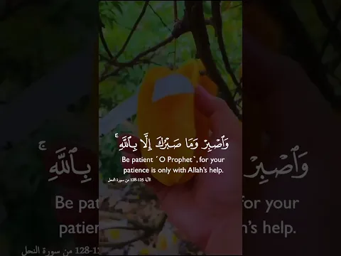ادع إلى سبيل ربك بلحكمه #تلاوة_خاشعة #إسلاميات #دويتو #اكسبلور #تيك_توك #لايك #ma #duet #fire #