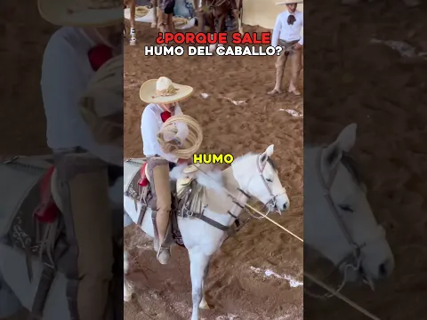 ¿Por qué sale humo cuando un charro atrapa un caballo con el lazo? 🤠 #curiosidades #viral #datos