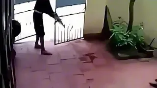 Esta perro actuó muerta para salvarla LIVE 🥹