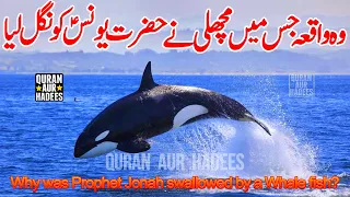 Hazrat Younus as ko Machli Ne Kyun Nigla
