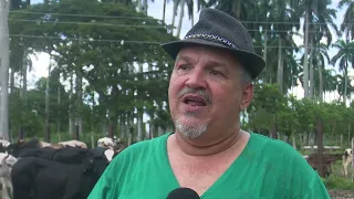 Cuba: Conozca la única mipyme de ganadería aprobada en el país