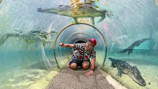 ATRAVESSANDO o TÚNEL de CROCODILOS GIGANTES EMBAIXO da ÁGUA