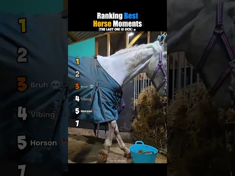 ranking best horse moments #usa
