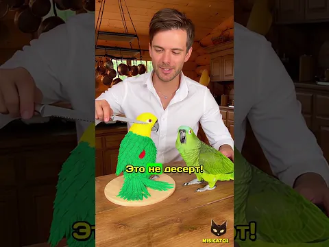 Когда режешь торт… а он на тебя орёт! 🎂🐦😂