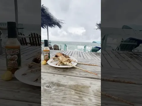 Go fishing and cook your own meal, it's guaranteed the best you've ever had #belize #fishing #beach