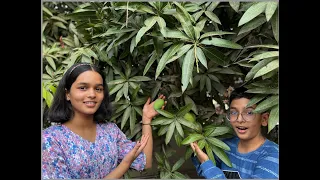 How to Make Aam Panna at Home | Kairiche Panna kase banvayche Recipe by Shaurya & Tanvi 🥭🍹