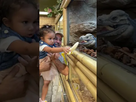 Everyone loves feeding the lizards🍌