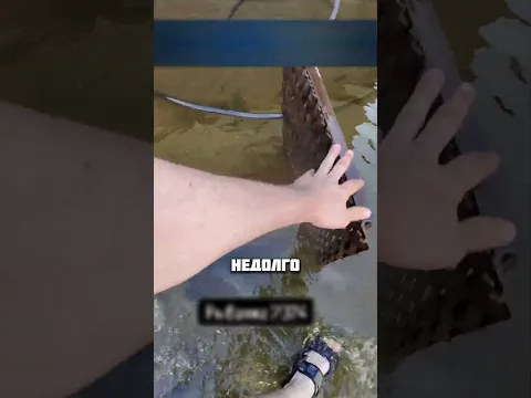 РЫБАЛКА ДОМА