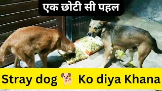 एक छोटी सी पहल (Stray dog 🐕 Ko diya Khana) #viralvideos #straydogs #doglover #food #viral #dailyvlog