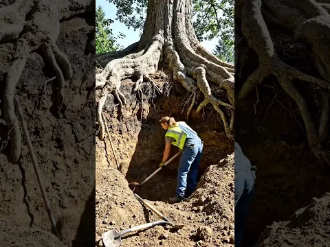 Underground Office Build 😱 | Dirt Mound to Luxury Workspace!”