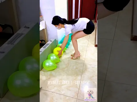 चिंटू ने गुब्बारे फोड़े | cute funny puppy | puppy with balloons #cutepuppy #cutepuppies #foufou