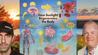 Sunlight is King! w/ Dr. Jack Kruse
