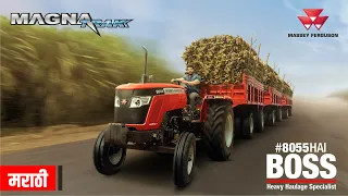 मैसी फ़र्ग्यूसन 8055 मॅग्नाट्रक | #8055HaiBoss | जड वाहतूक स्पेशलिस्ट | मोठा 50 hp रेंज ट्रॅक्टर