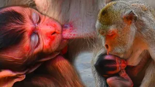 A little baby getting milk active with mom take care