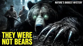 20 Largest Animals Ever Caught on Camera 2026