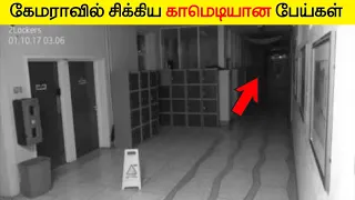 கேமராவில் சிக்கிய காமெடியான பேய்கள் | Ghost Caught On Camera_Facts In Minutes