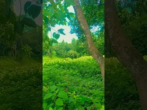 #ishamalviya #nature