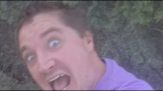 LIke this video If you lovew kittens