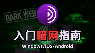 【黑暗网络】最详细进入暗网方法大全，互联网中的罪恶都市，什么是暗网？暗网有多恐怖？Tor网络和黑暗网站的区别|dark web windows/mac/linux/ios/android进入洋葱网络
