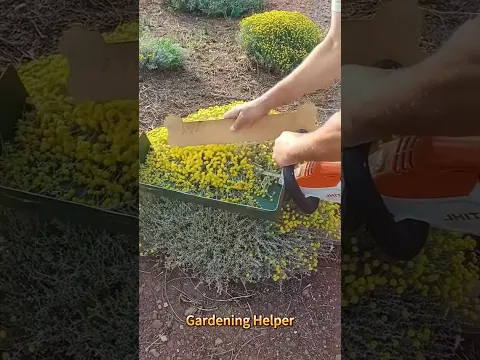 Plant trimmer
