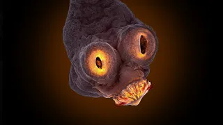 هذا المخلوق كاد ان يحدث كارثه لياسمين