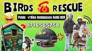 Birds 🕊 Rescue || Bike Ambulance ||Delhi NCR ?#birds#rescue#delhi#ncr#help#respect#viral#tredning