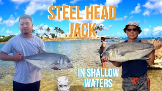 The Hunt for Steel Head Jack in SHALLOW Waters | Fishing Off the Rocks in Bermuda | 2021