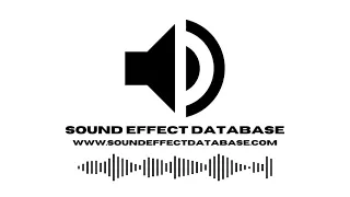 Crowd Chatter Background Ambience Sound Effect