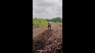 Simple, interesting farming tools used by village farmers #farmtools #farmer #agriculture