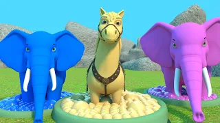 एक मोटा हाथी + लकड़ी की काठी | Ek Mota Hathi In Color Nursery Rhymes for Childrens