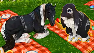 Free Horse + Pet Star Stable Online Birthday Gifts