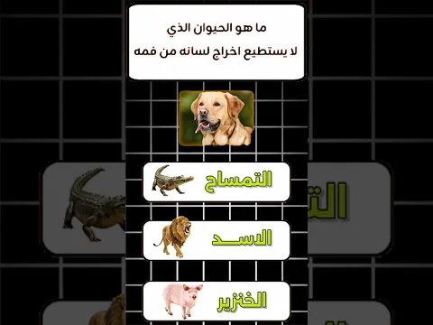 #اسئلة دينية اسئلة واجوبة#اكسبلور #قران کریم ثقافة عامةإختبرثقافتك