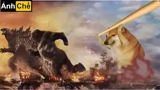 Những Hình Ảnh Hài Hước (P 2) King Kong vs Godzilla vs Cậu Vàng, Tàu Ever Given