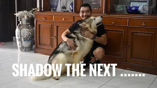 SHADOW BIKIN BAPER ! GAK NYANGKA SHADOW KAYAK GINI !