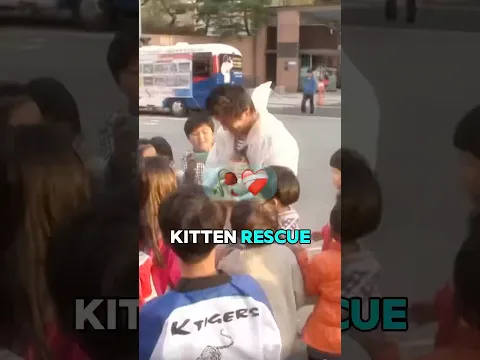 How this cat got saved from the buss stop ❤️‍🩹🥀 (@animal_in_crisis/YT) #shorts
