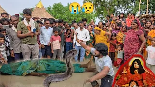 सांप के काटने के बाद अंधविश्वास में पड़कर फिर हुई एक नई अनहोनी 😥 Cobra snakebite 
