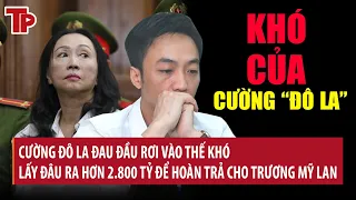 Thế khó của Cường Đô La: Tiền mặt vỏn vẹn 28 tỷ, lấy gì ra hoàn trả hơn 2.800 tỷ cho Trương Mỹ Lan