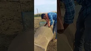 #video||किस तरह जाल मे फस गई बेचारी चिड़िया 😭😭😭