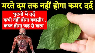 मरते दम तक नहीं होगा कमर दर्द,घुटनों में दर्द,कितने ही झटके मारो उठा पटक करो आगे पीछे करो जोश कम नही