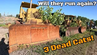 Digging out abandoned non running Cat dozers out of a forest that were left for dead
